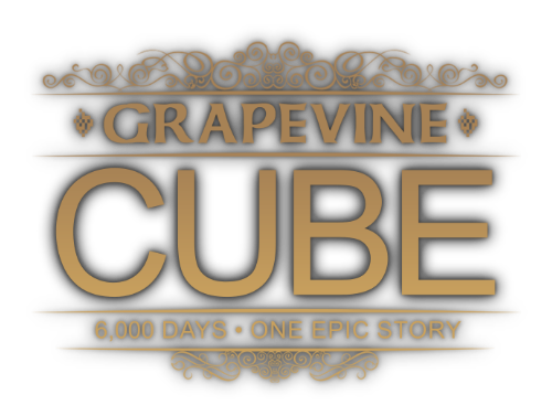 GV-CUBE-logo-NEW-trans-shadow-sm